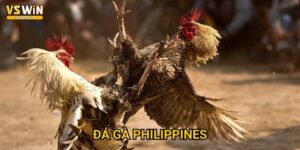 Đá gà Philippines