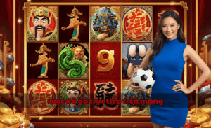 Cược đá gà trực tiếp trên mạng