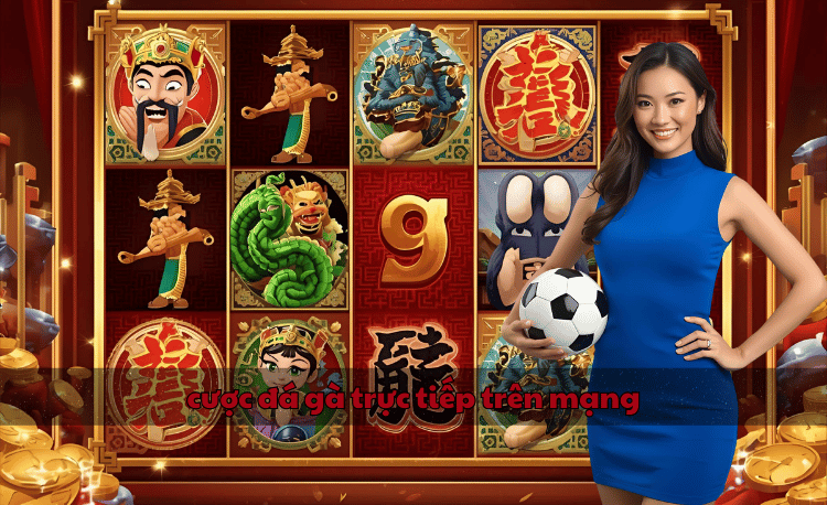 Cược đá gà trực tiếp trên mạng