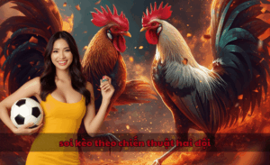 soi kèo theo chiến thuật hai đội